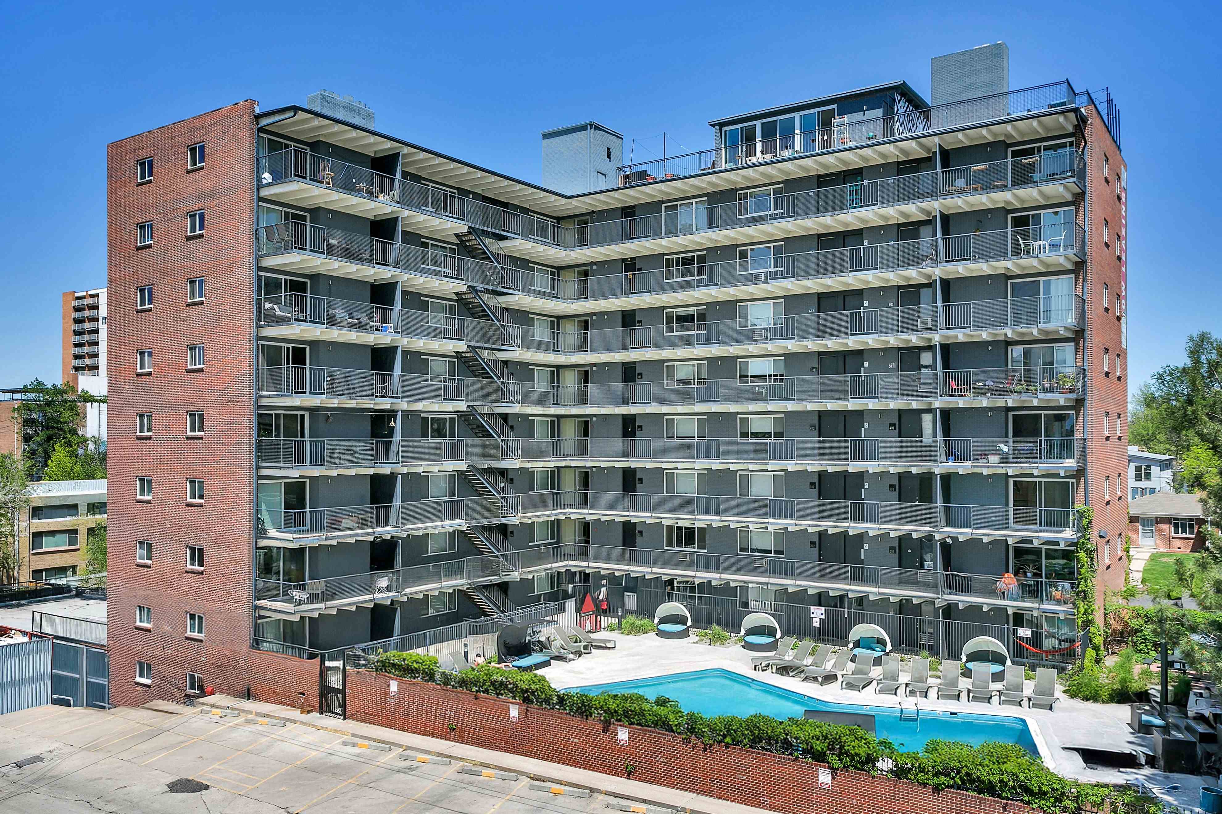 825 Dahlia Image 3